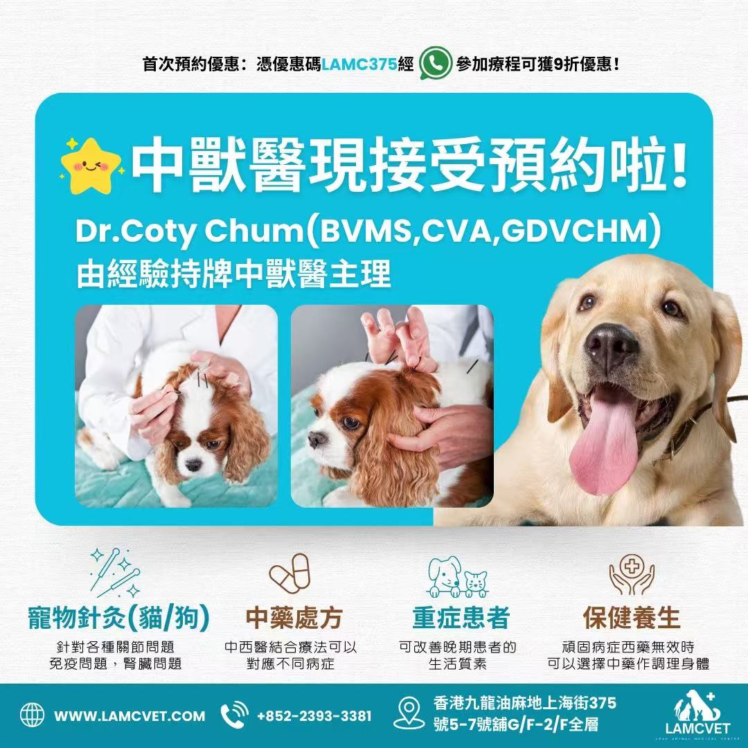 萊奧動物醫療中心 中獸醫服務 (LAMCVET TCVM)