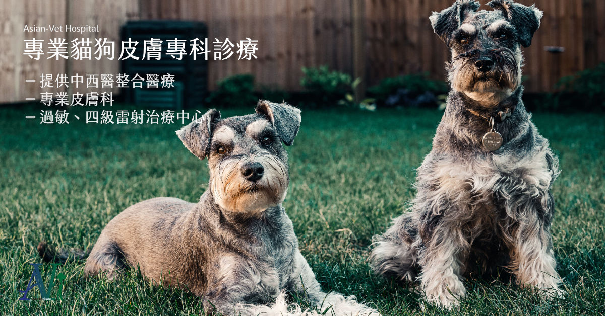 亞洲獸醫專科醫院 (Asian-Vet Hospital)