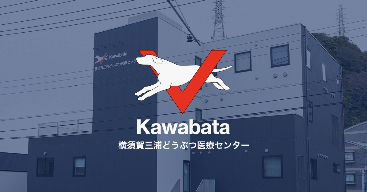 横須賀三浦どうぶつ医療センター(行動診療科)