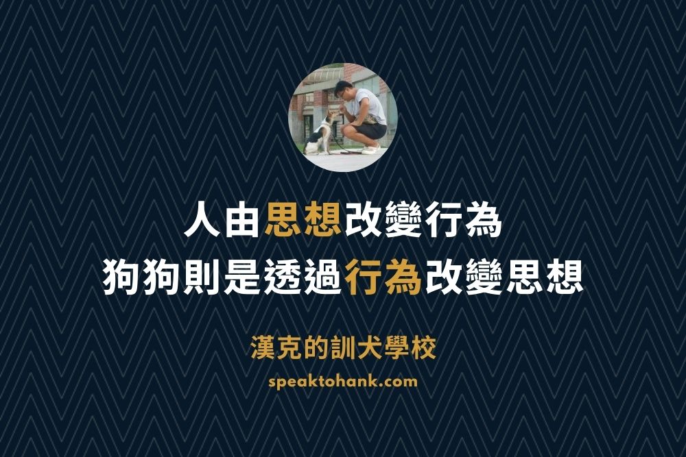漢克的訓犬學校(狗狗行為矯正專門)
