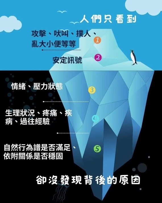 毛球動物醫院 行為門診 (MaoBall Animal Hospital Behavioral Clinic)