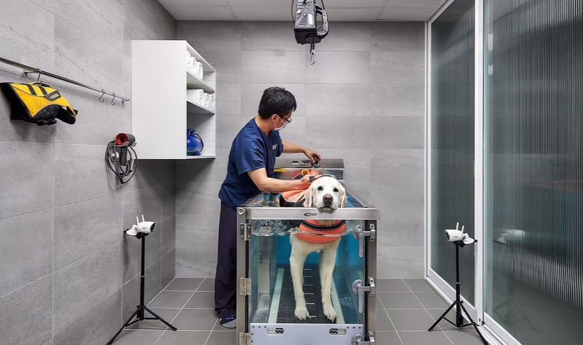 小王子動物醫院復健分院