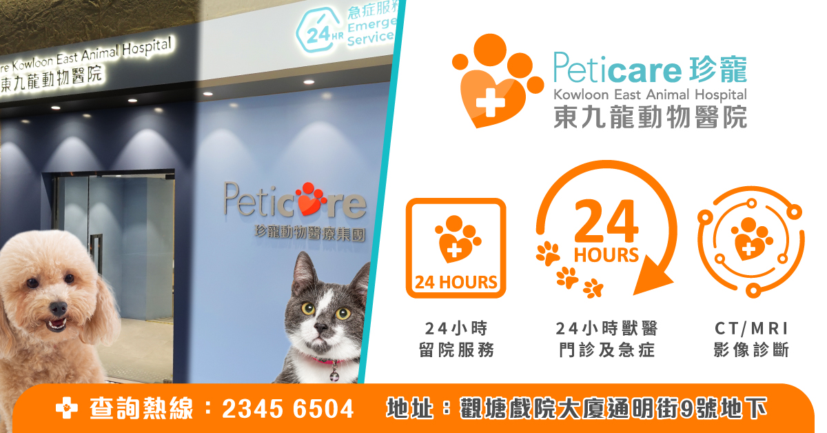Peticare Kowloon East Animal Hospital (珍寵東九龍動物醫院)
