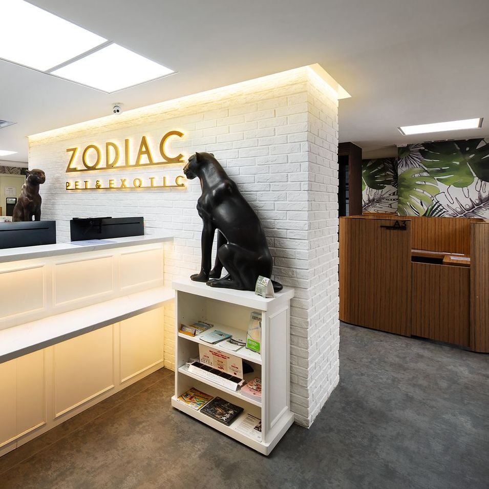 星寵動物醫院