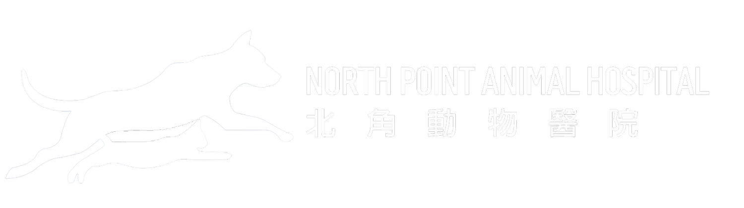 北角動物醫院