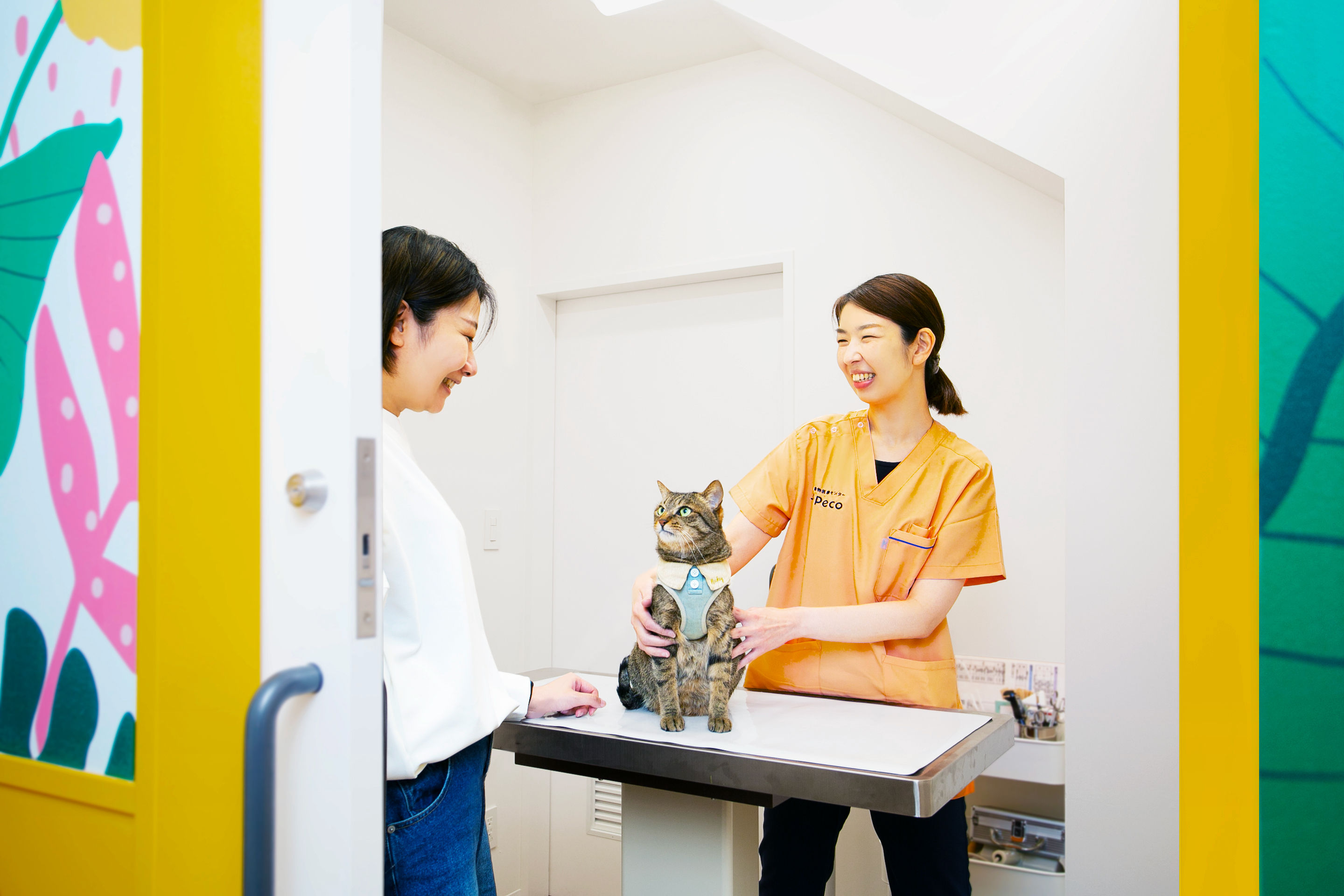 四谷いぬねこクリニックPeco