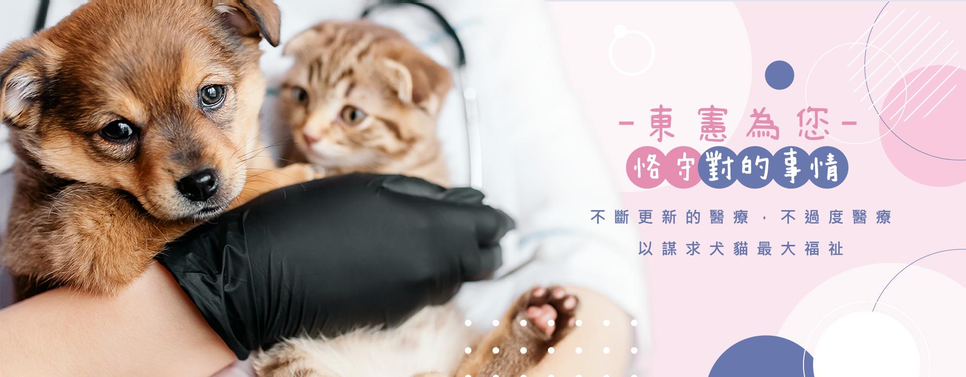 東憲動物醫院