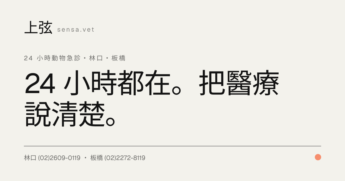 板橋上弦動物醫院