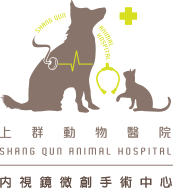 上群動物醫院