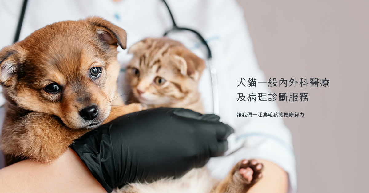 碩聯動物醫院